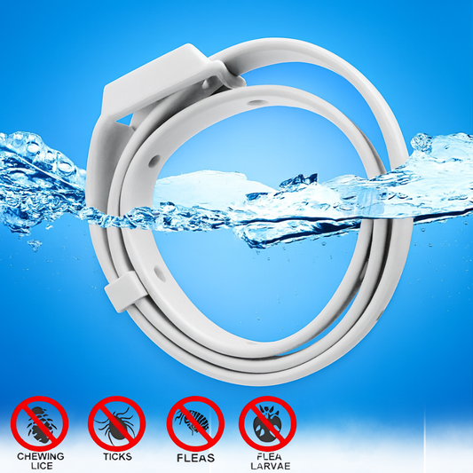 Anti Flea & Tick Collar